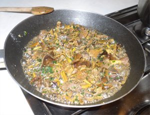 Girolles_omelette Girolles_omelette