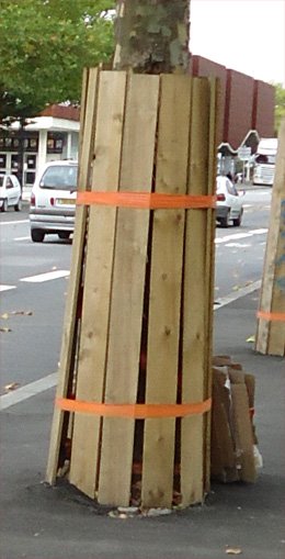 Chantier_protection_tronc_arbre Chantier_protection_tronc_arbre