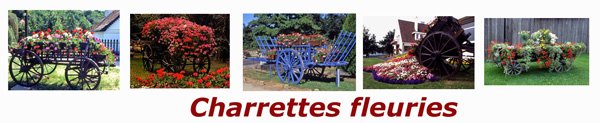 Charrettes-Fleuries Charrettes-Fleuries