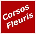 Cavalcades_fleuries Cavalcades_fleuries