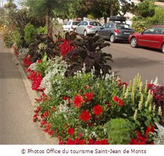 Fleurir_Saint-jean-de-monts Fleurir_Saint-jean-de-monts