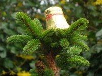 Cloche_paques_epicea_tete Cloche_paques_epicea_tete