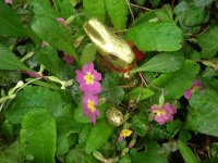 Paques_jardin_lapin_1 Paques_jardin_lapin_1